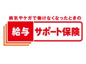 給与サポート保険